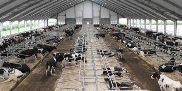 شاخص قیمت محصولات گاوداری‌های صنعتی کشور در بهار ١٤٠٠