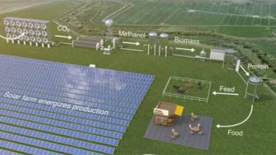 میکروب‌هایی که غذای آینده جهان را تامین می‌کنند!