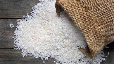 هزینه تولید هر کیلو برنج ایرانی به ۴۲ هزار تومان رسید؟