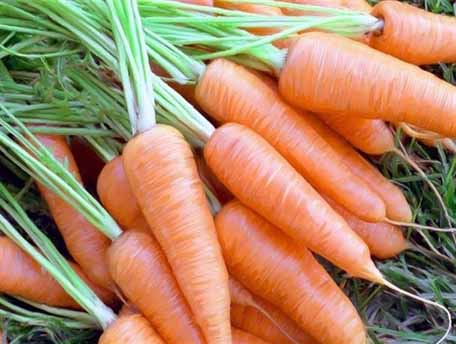 هویج، کاهو و قارچ رکورددار گرانی‌ها