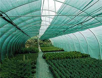 سایه‌بان‌؛ کاربردی‌ترین روش‌ کاهش مخاطرات در بخش کشاورزی