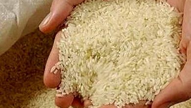 قیمت برنج گران است؟
