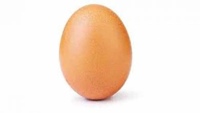 گرانی تخم مرغ به دلیل سیاست‌های غلط گذشته