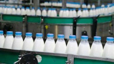 سودهای کلان عده‌ای با شیر گران و از جیب مردم شیرهای برگشتی کارخانه‌ها به کجا می‌رود؟