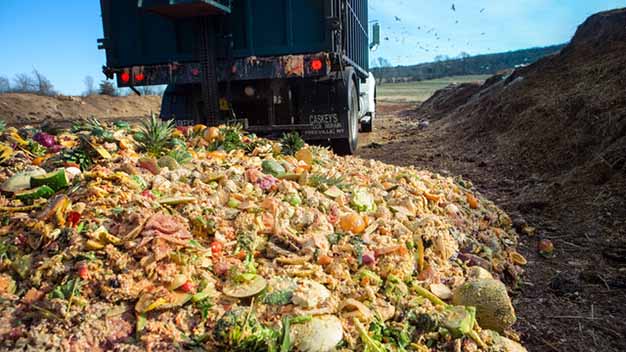 چگونه بخش کشاورزی به کاهش تولید زباله کمک کند؟
