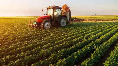 کشاورزی، زیربنای توسعه اقتصادی