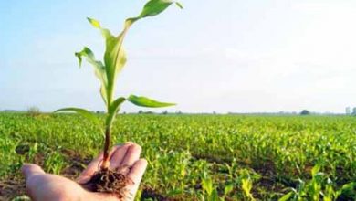 نشست «کارآفرینی در بخش کشاورزی» برگزار می‌شود