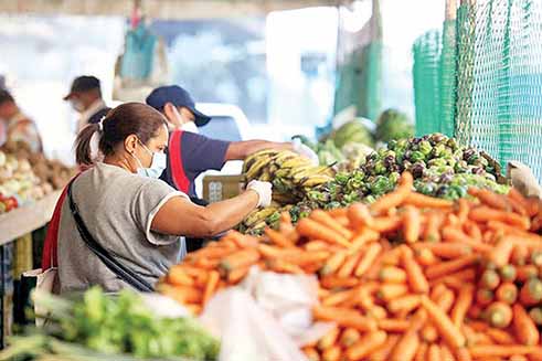 پیش‌بینی فائو از بحران غذایی تا ۲۰۵۰