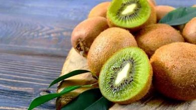 «داوینچی» عامل برگشت خوردن کیوی صادراتی ایران از هند شد؟