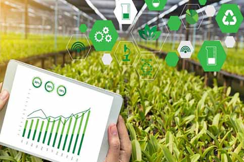 دولت‌ها از فناوری اطلاعات در کشاورزی حمایت کنند