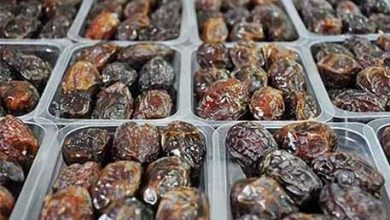 فروش خرمای استعمران از طریق مزایده