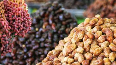 مخاطرات صادرات خرمای کشور