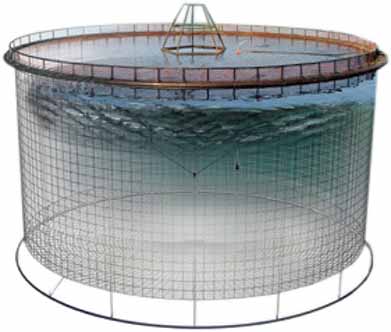 پرورش ماهی در قفس راهکاری برای کاهش صید بی رویه