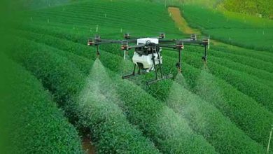 کاربری پهپادها در بخش کشاورزی ۳ برابر شد
