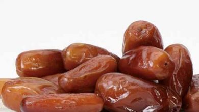 ۶ واریته خرمای ایران ثبت جهانی شده‌است