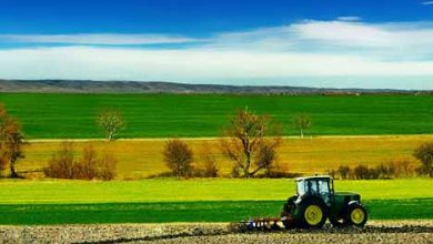 جزئیات اجرای طرح کشت فراسرزمینی