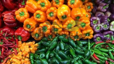صفر تا صد برگشت چهار قلم کالای کشاورزی صادراتی