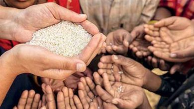 شاه کلید رفع گرسنگی جهان در دستان بخش خصوصی