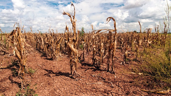 اثر خشکسالی بر میزان تولیدات کشاورزی چگونه قابل کنترل است؟
