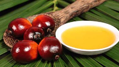 صادرات بزرگ‌ترین تولیدکننده روغن پالم دنیا متوقف می‌شود