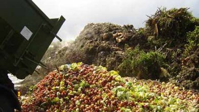 غفلت از نانو؛ ضایعات ۳۰ درصدی کشاورزی و هدررفت ۲۰ میلیارد مکعب آب