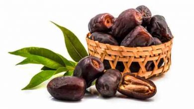 رتبه‌های ۳ تا ۱۹ ایران در تولید ۲۰ محصول مهم کشاورزی جهان