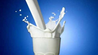 روزجهانی شیر و فاصله مصرف ایرانی ها تا متوسط جهانی آن