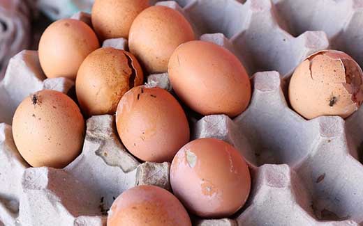 بهترین راه تشخیص تخم مرغ سالم از تخم مرغ تاریخ مصرف گذشته