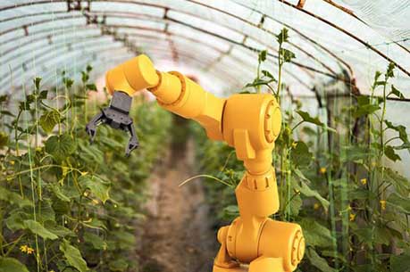 نقش فناوری و ربات‌ها در باغبانی علمی