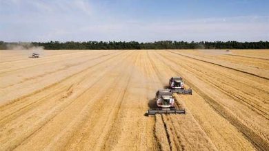 ۸۰ میلیون هکتار کشت فراسرزمینی در دنیا؛ سهم ایران ناچیز است