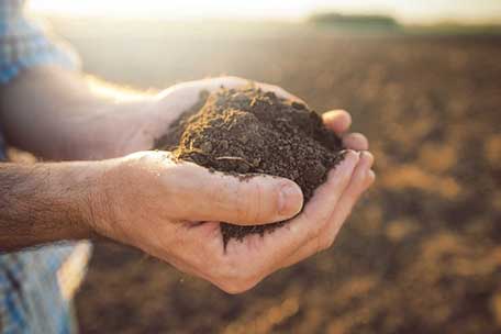 آیا خاک مرطوب به کشاورزان در مدیریت دمای هوا کمک می‌کند؟