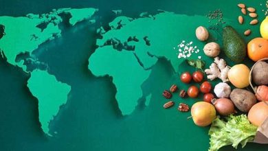 امنیت غذایی جهان در خطر است