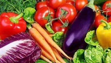 وضع عوارض بر محصولات جالیزی چقدر به اصلاح الگوی کشت کمک می‌کند؟