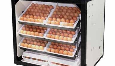 نگاهی به روش کار دستگاه های جوجه کشی