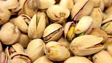 ایران سومین تولیدکننده پسته جهان