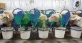 کارخانه خوراک دام و طیور دامداران دالانکوه