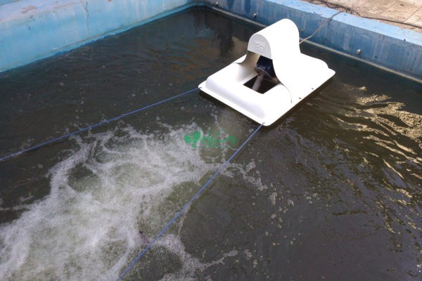 تجهیزات پرورش آبزیان ماهی سالمون