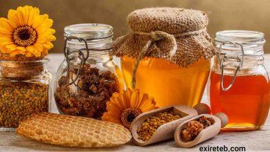 خواص عسل از نظر ابو علی سینا