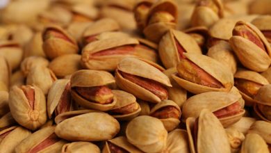 راه اندازی معاملات پسته در بورس کالا