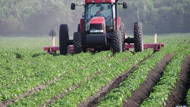 چرا کشاورزی در ایران سود ندارد؟