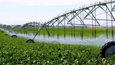 برنامه‌ریزی برای تجهیز 10 هزار هکتار از اراضی قزوین به سامانه‌های نوین آبیاری