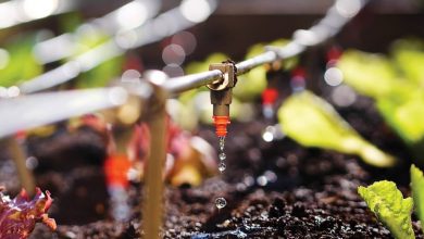 انواع قطره چکان