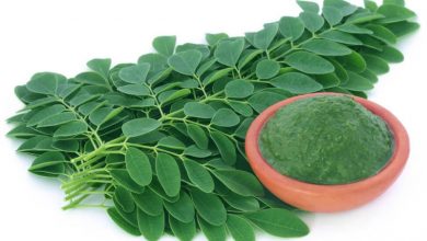 نمایشگاه گیاهان دارویی شیراز 98