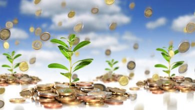 تقویت اقتصاد کشاورزان در گرو اصلاح الگوی کشت است