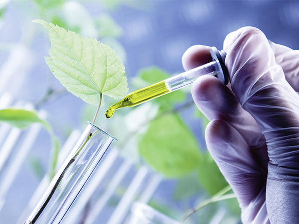 تهدیدات زیستی، پایداری و امنیت تولید را به مخاطره می‌اندازند