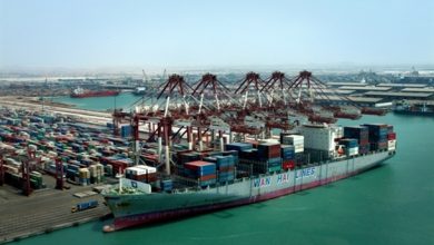 رونق تولید در واحدهای دام و طیور با ورود نهاده‌ها از بندرشهیدرجایی