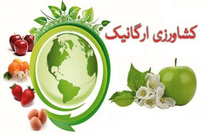 سه بازوی توانمند در تولید محصولات گواهی‌شده