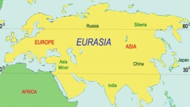 صادرات ۳۱۵ میلیون دلار محصولات کشاورزی و غذایی ایران به اوراسیا