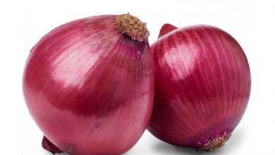 پیاز قرمز عزیزتر شد + نرخ انواع میوه