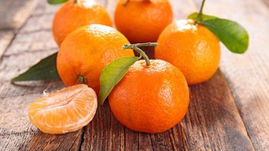 پیش‌بینی برداشت 66 هزار تن نارنگی